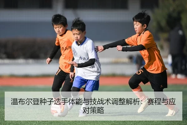 温布尔登种子选手体能与技战术调整解析：赛程与应对策略